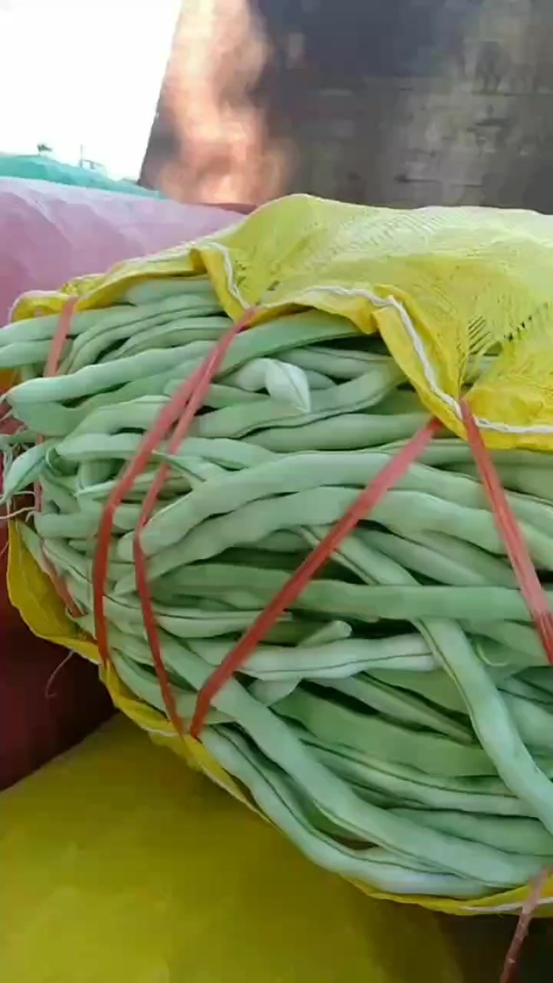 白无丝