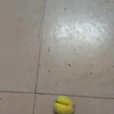 湖北黄桃