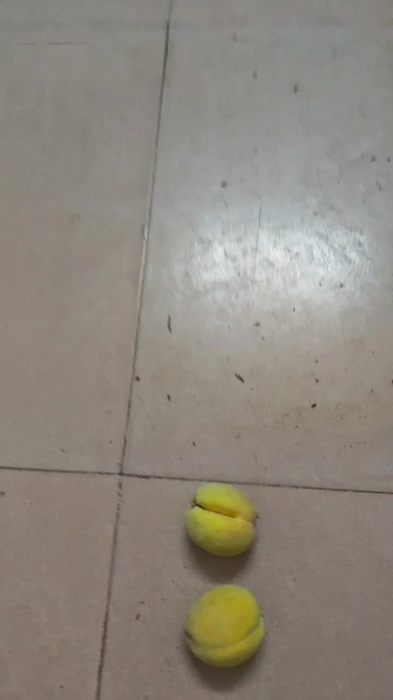 湖北黄桃