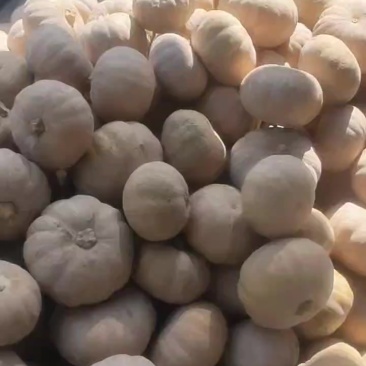 特价搞起