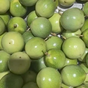黄金百香果