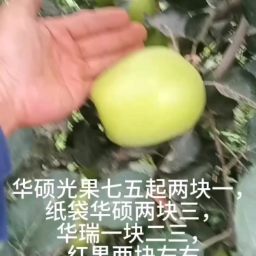 华硕苹果