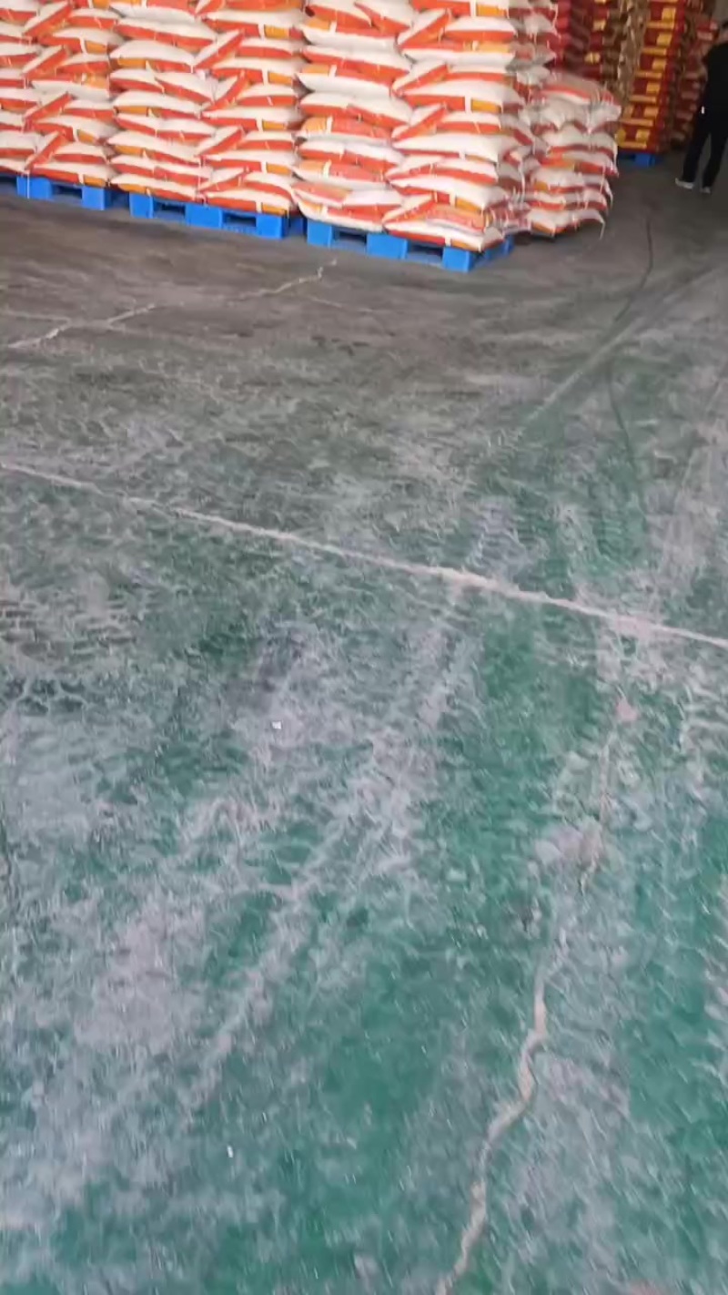 金苗K1大金苗