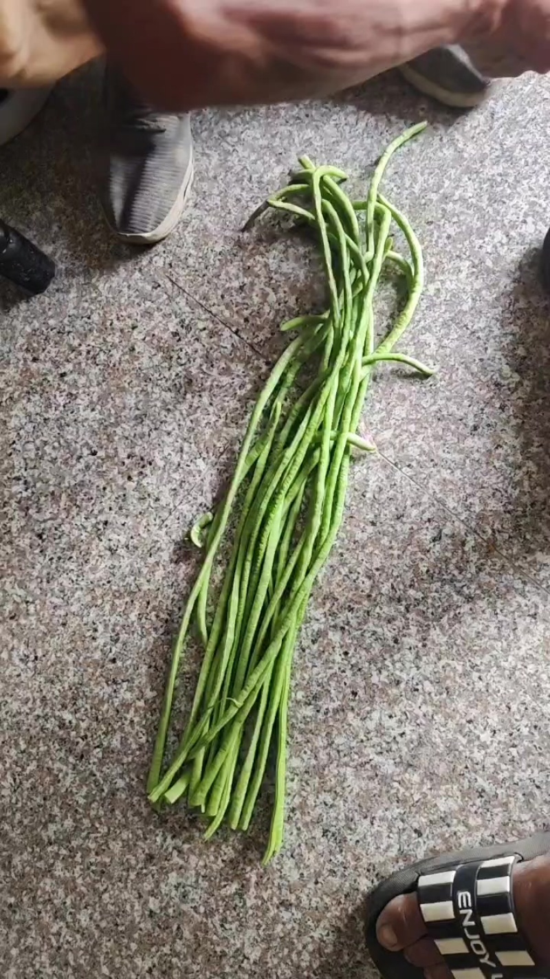 豆角品豆资亮保障