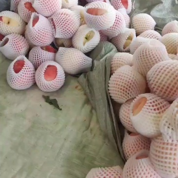 大量有货