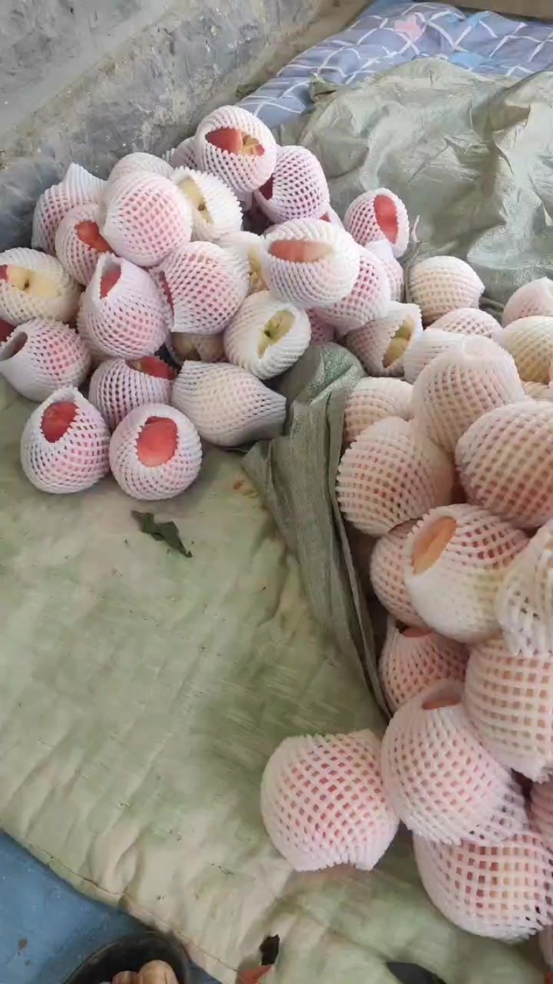 大量有货