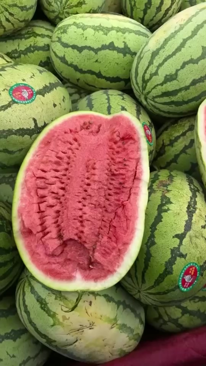 宁夏石头瓜有意向联系我量大无忧