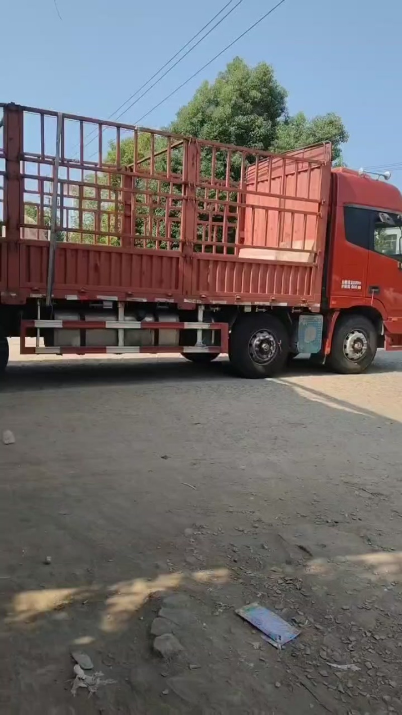 花生南瓜