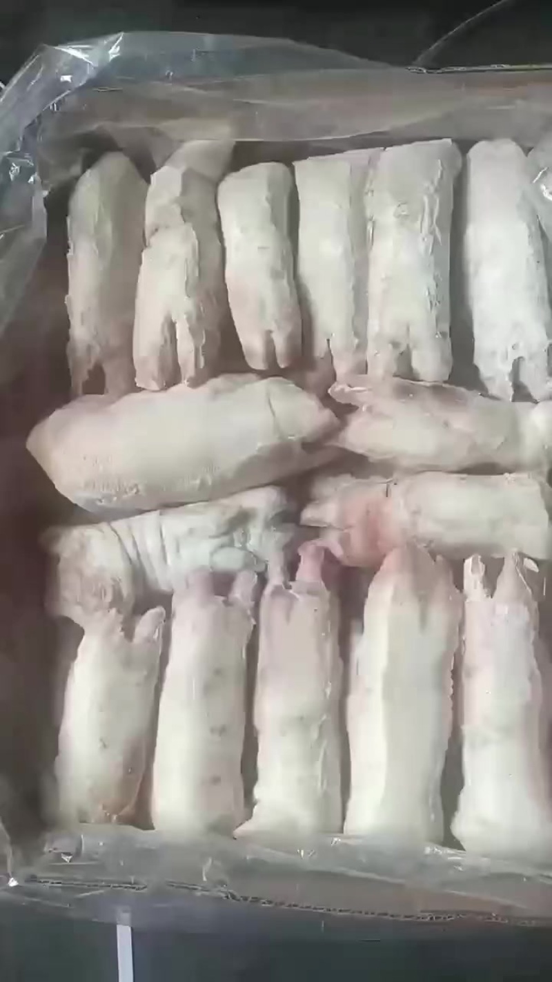母猪二级蹄带筋十六吨山西提新货