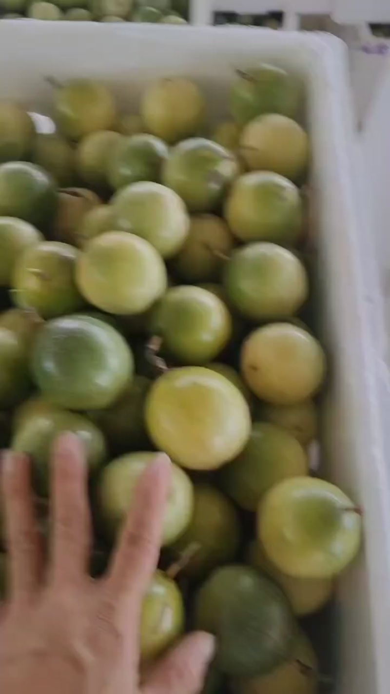 黄金百香果