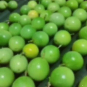 黄金百香果