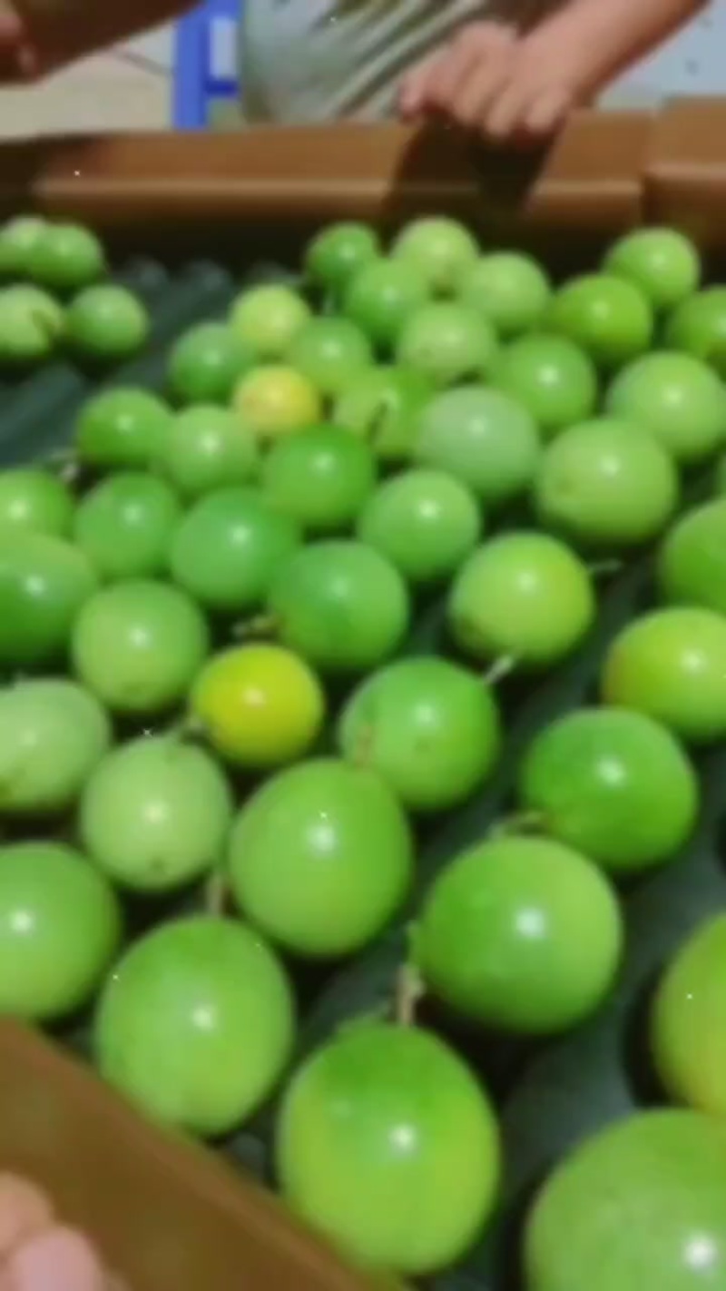 黄金百香果