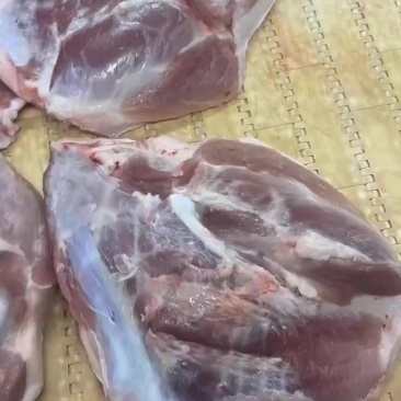 出售:精修二刀肉大肥猪鲜分新货厂家直销15+