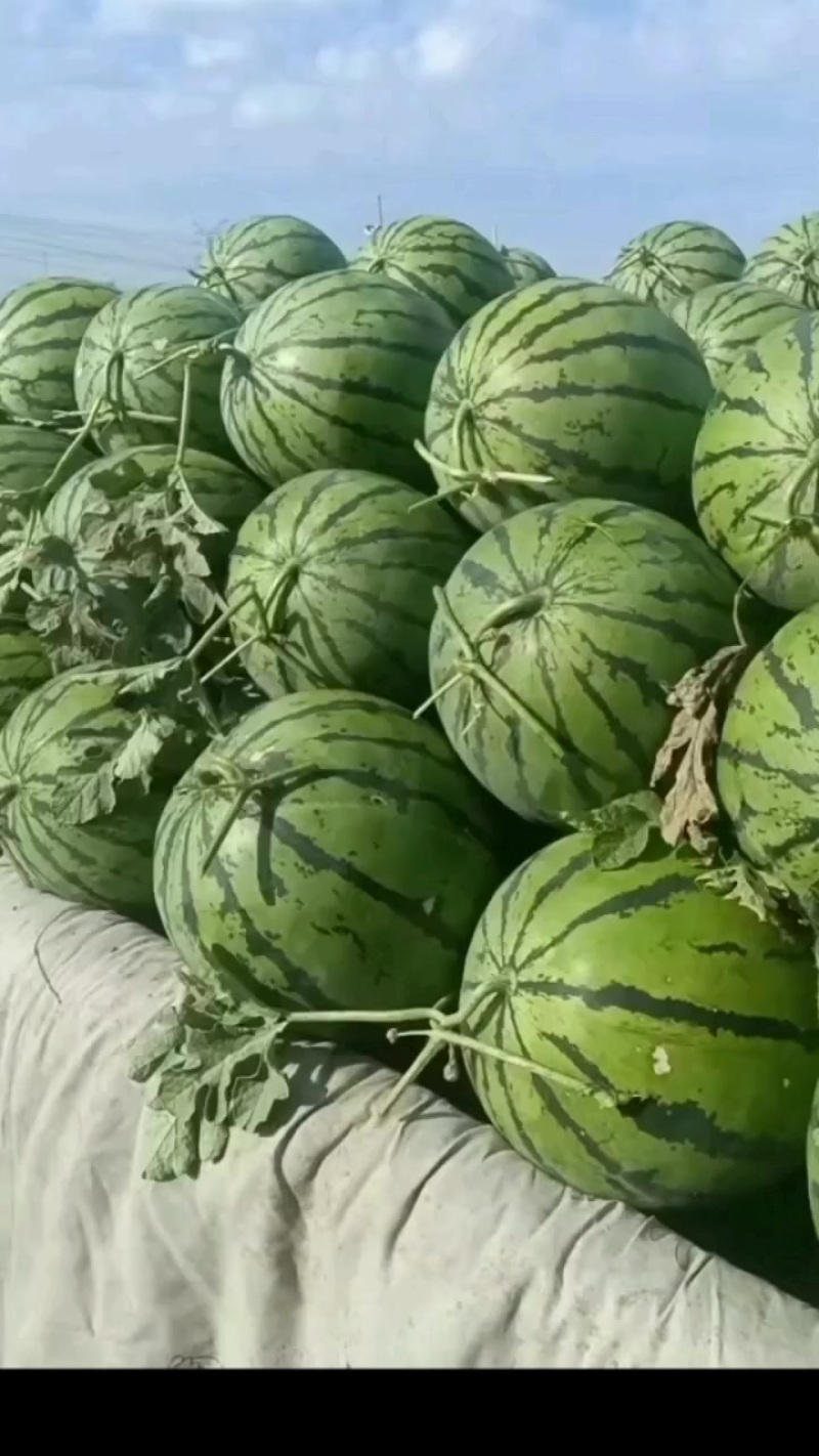 西瓜