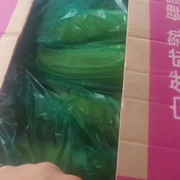 精品短瓠子