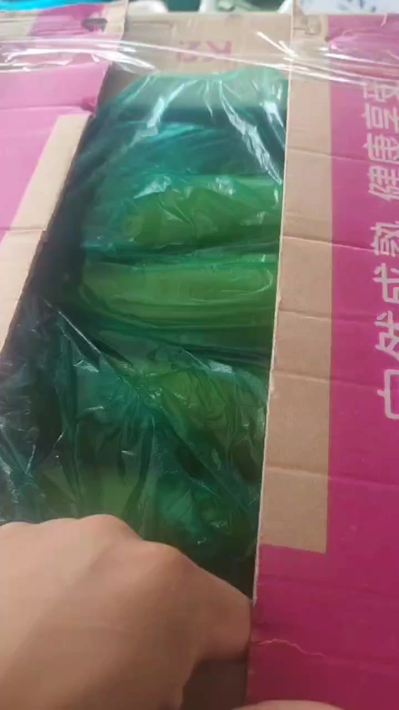 精品短瓠子