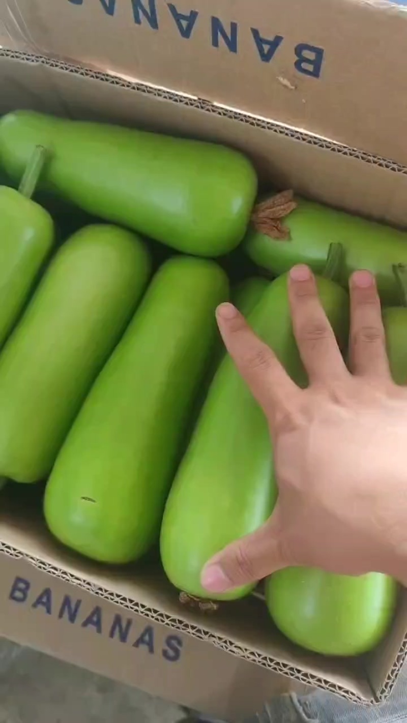 精品短瓠子