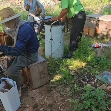 ***荆科蜂蜜