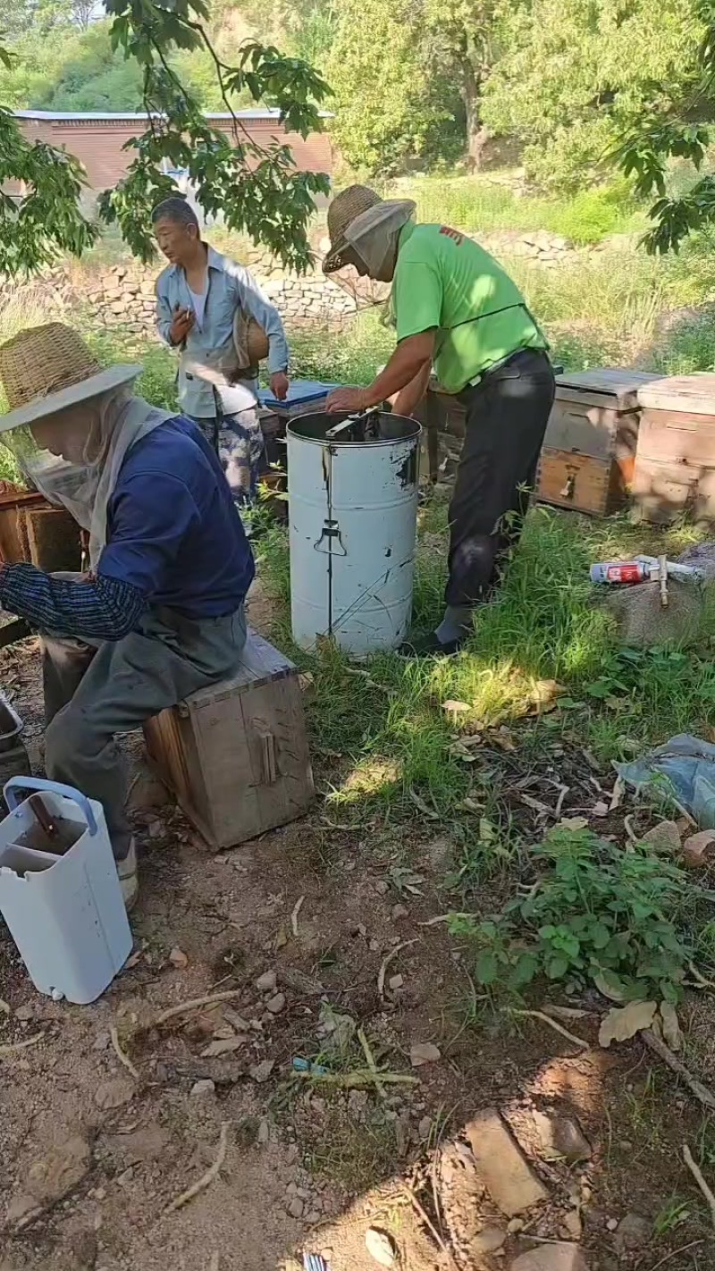 ***荆科蜂蜜