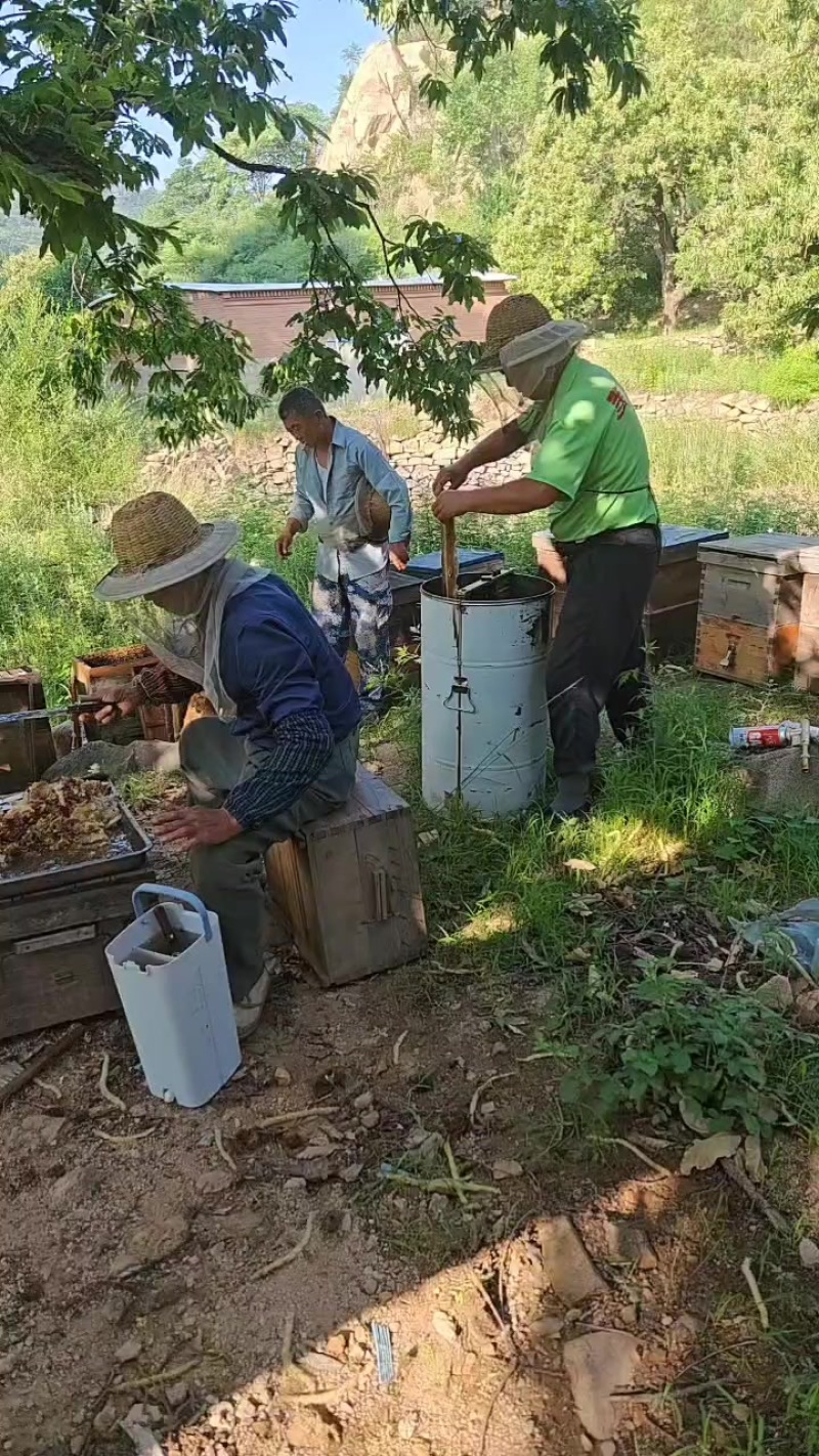 ***荆科蜂蜜