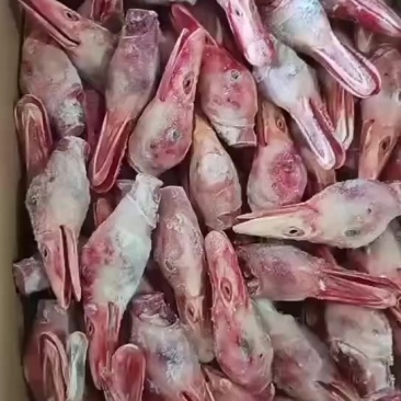 北京烤鸭头3000多个