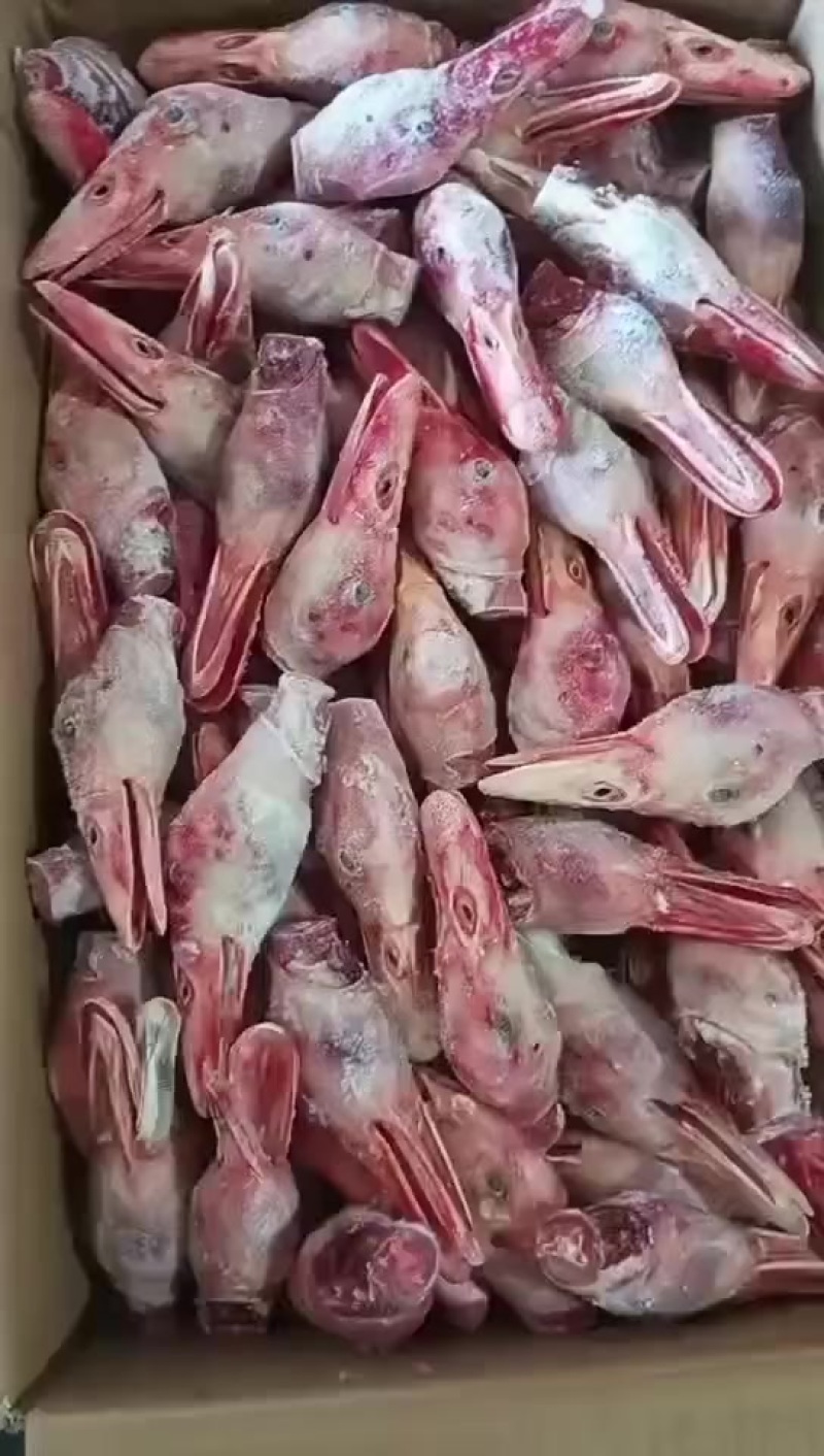 北京烤鸭头3000多个