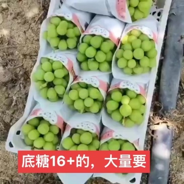 新沂产地直供