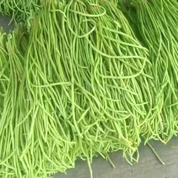 精品豆角