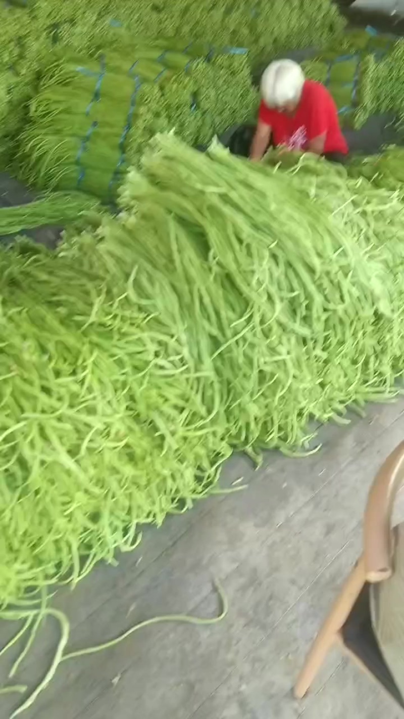 精品豆角