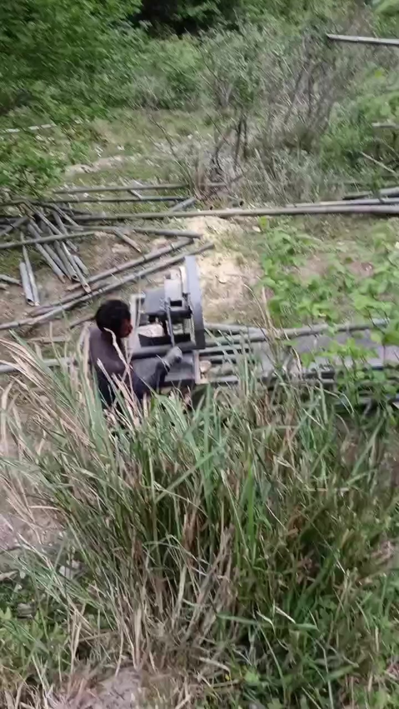 大量毛竹找有诚意的厂家合作
