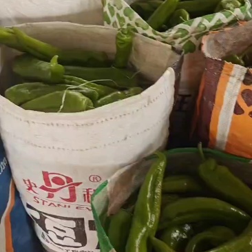 辣椒