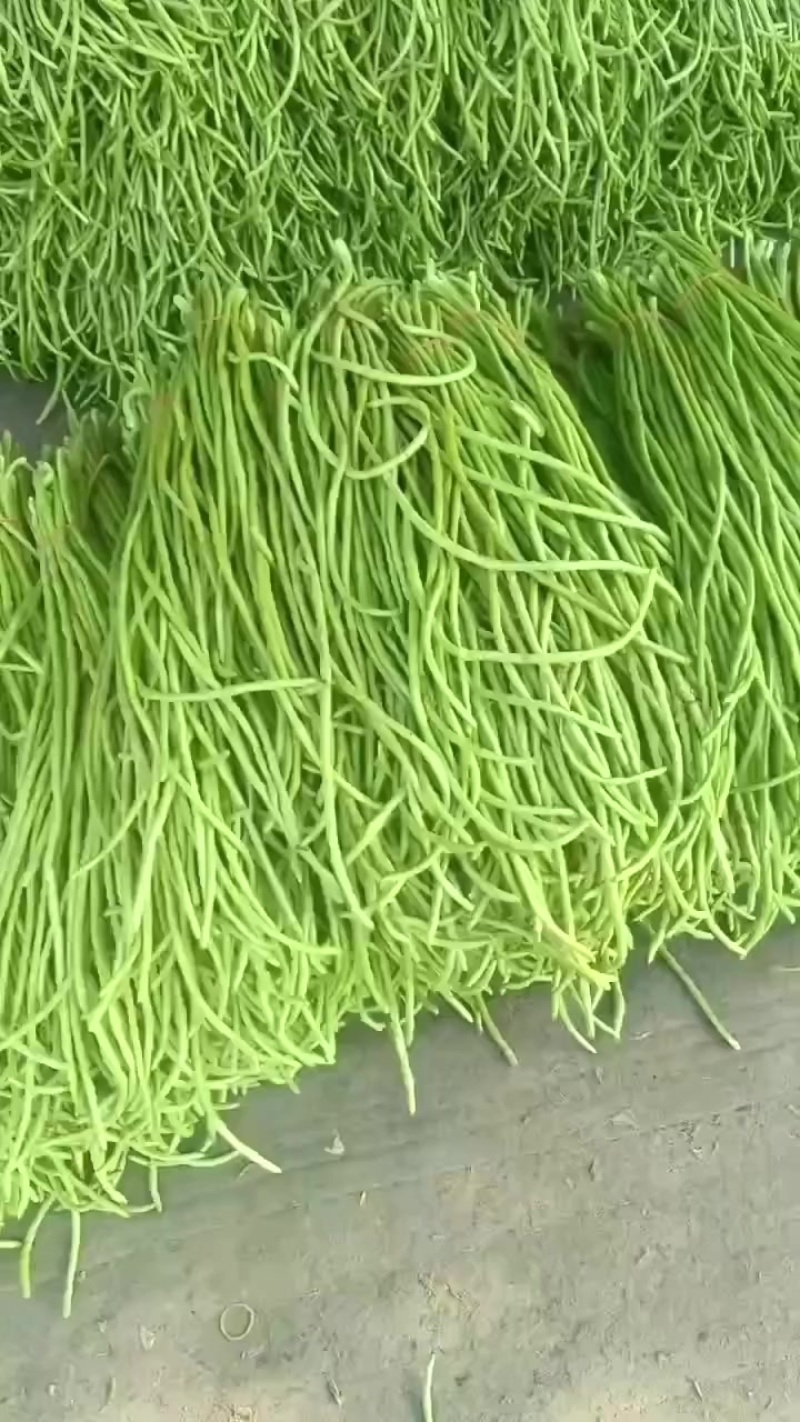豆角