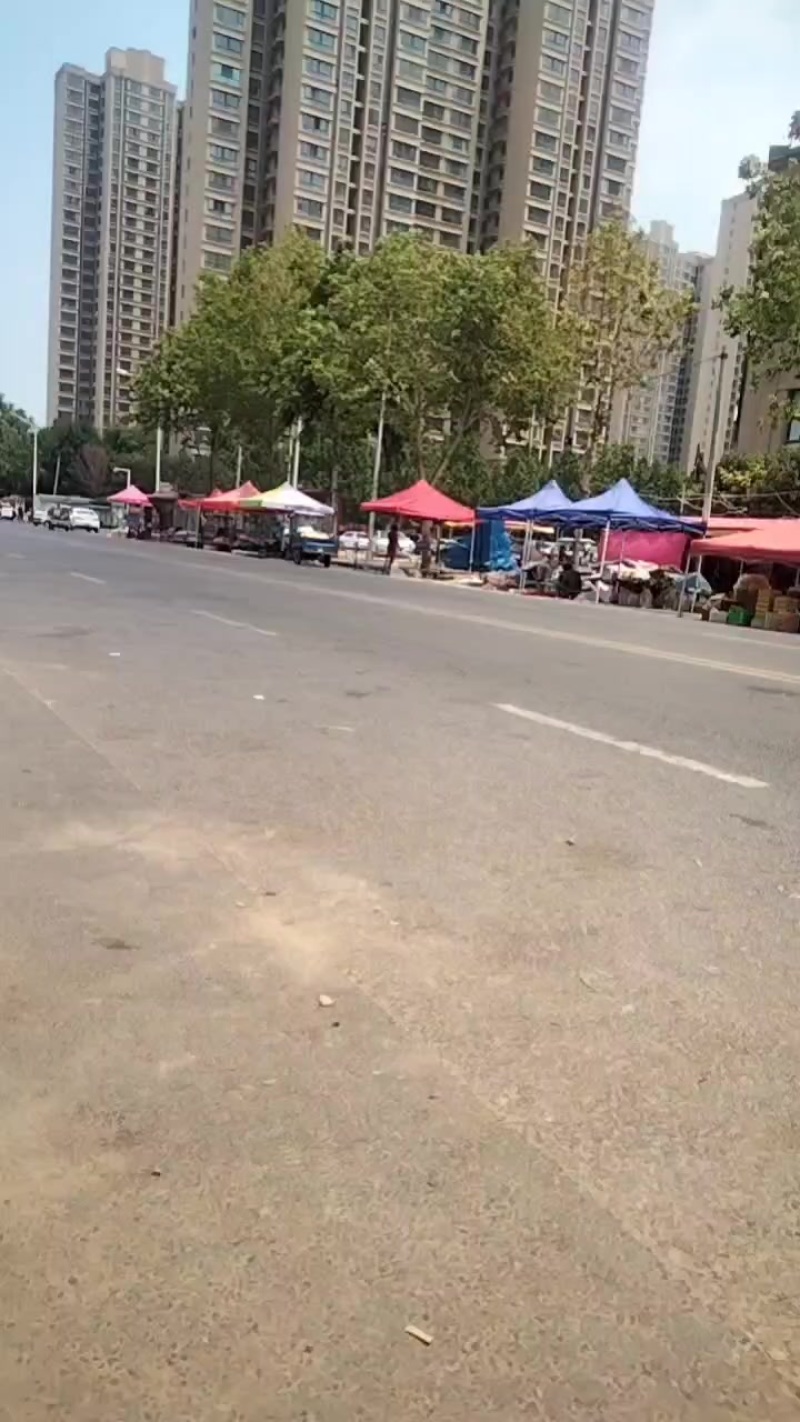 今日上新啦！毛蟠桃现货，毛蟠桃现货！不甜不要钱