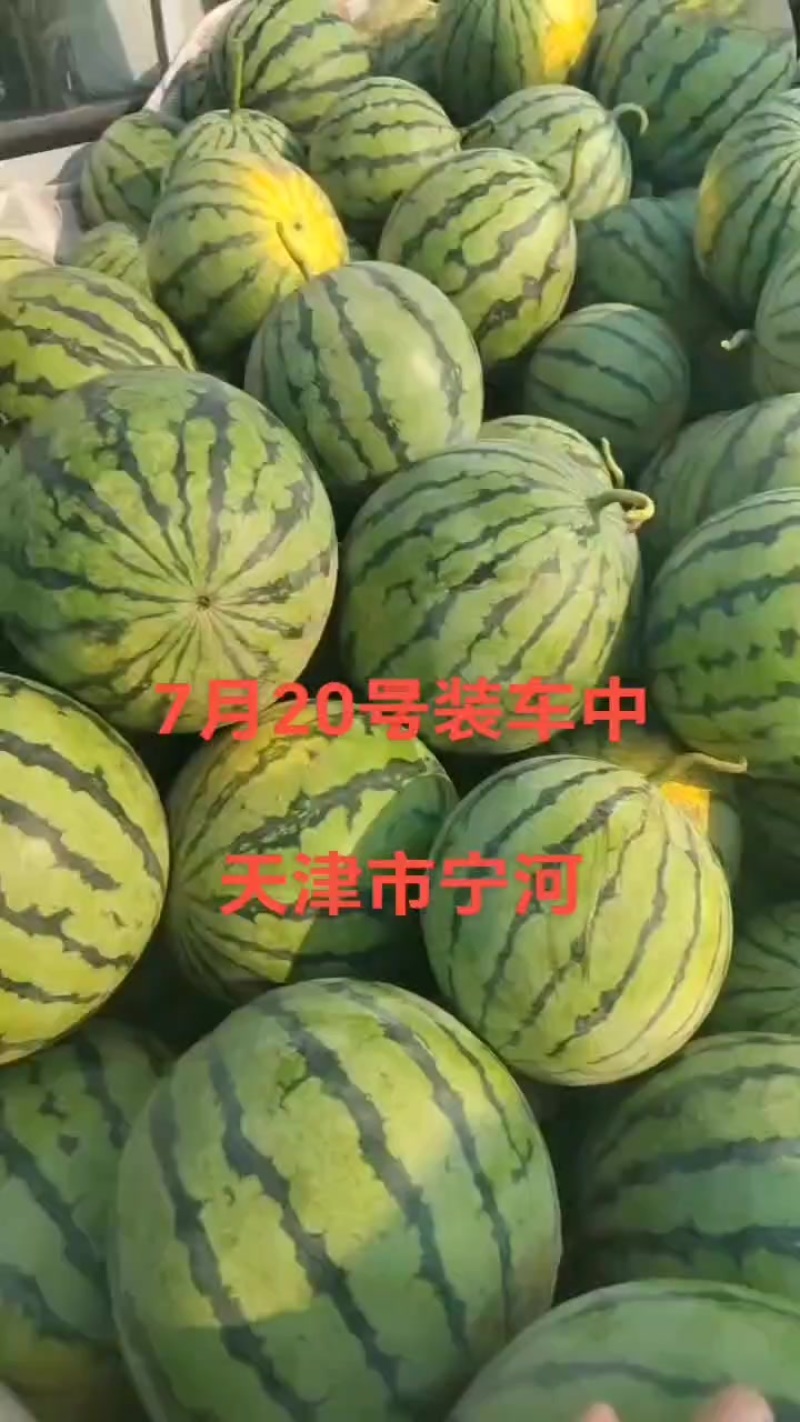 天津市宁河