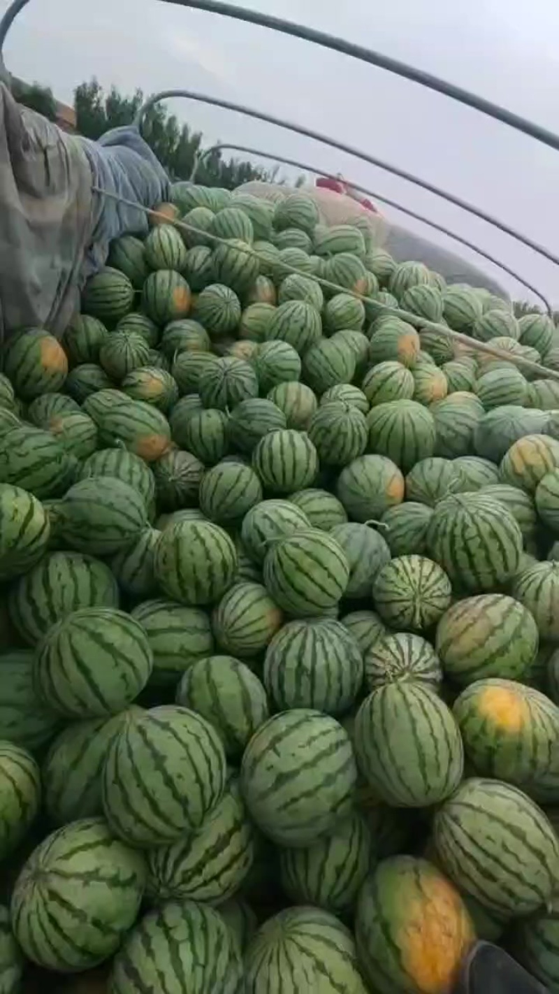 天津市宁河