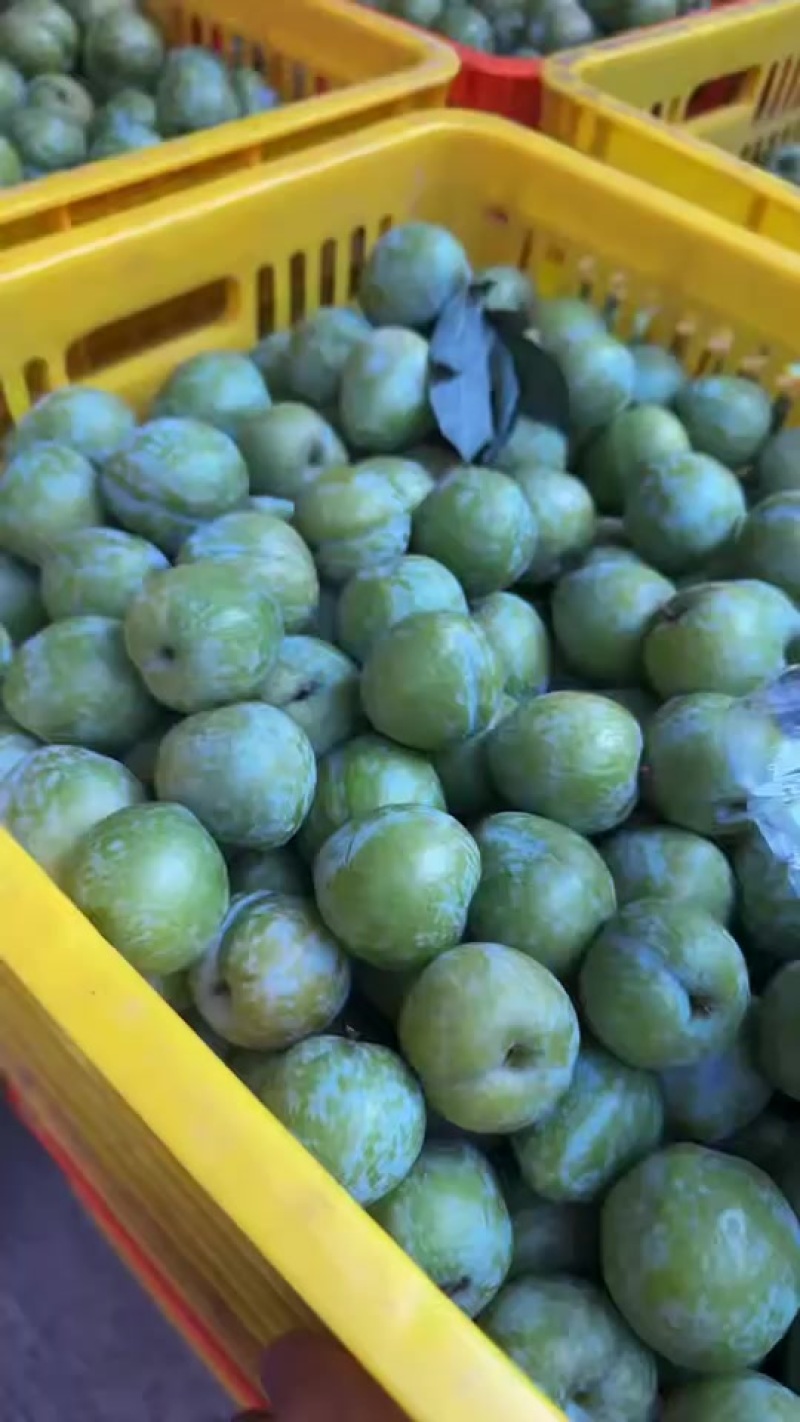李子，奈李，桂林灌阳奈李，8到12个头的电商果