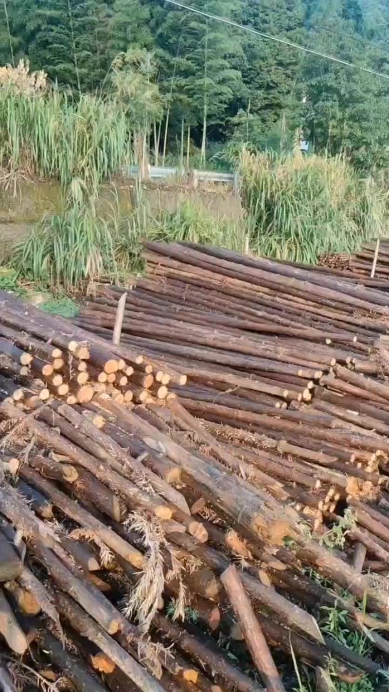 绿化杆