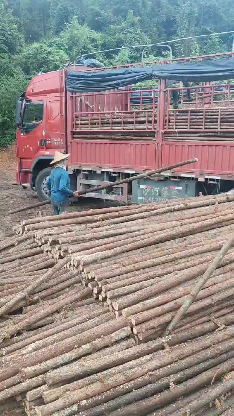 绿化杆