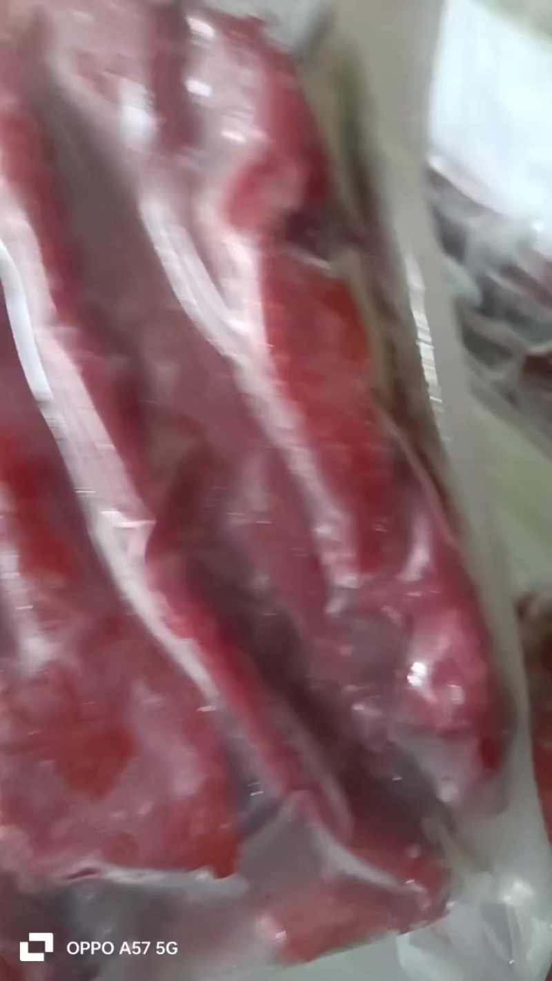 海肠