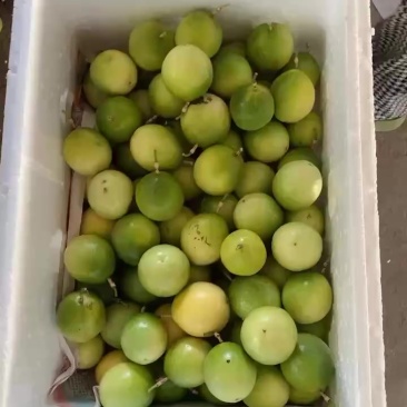 百香果