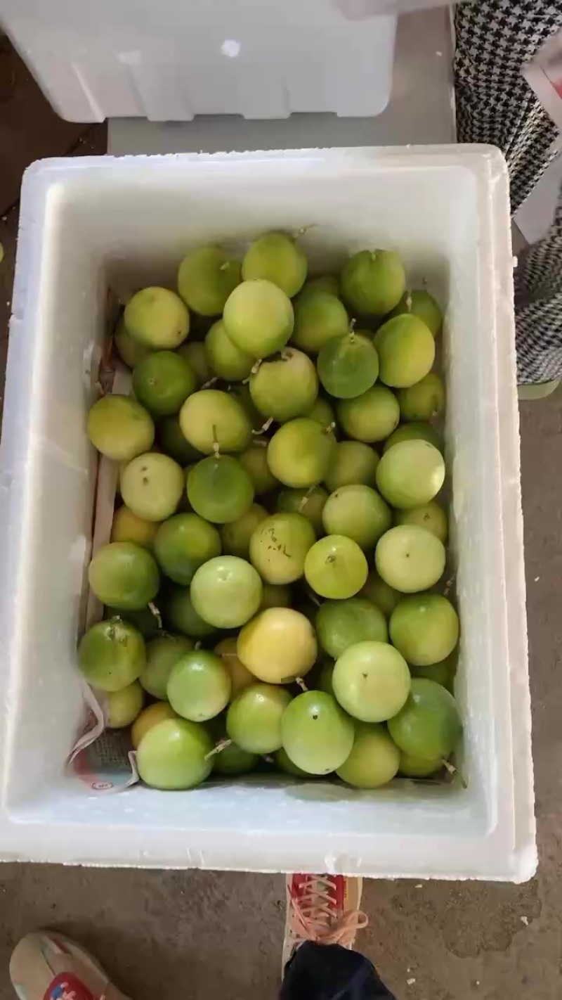 百香果
