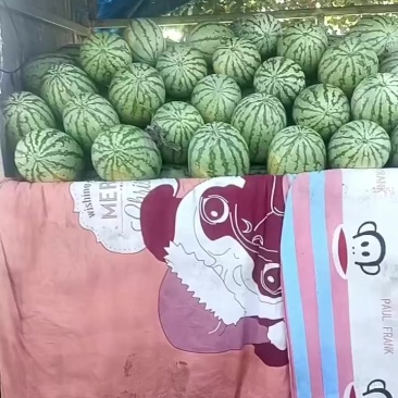 西瓜