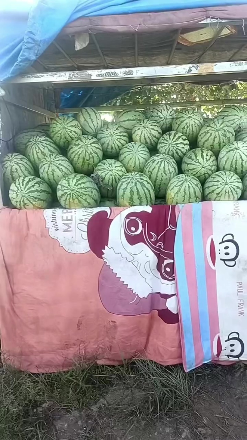 西瓜