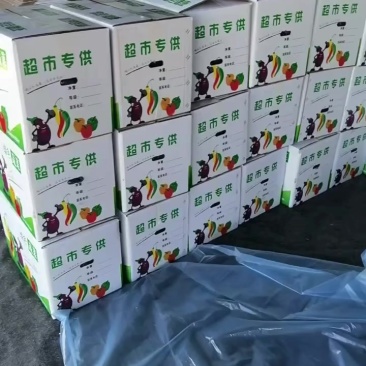 紫茄子