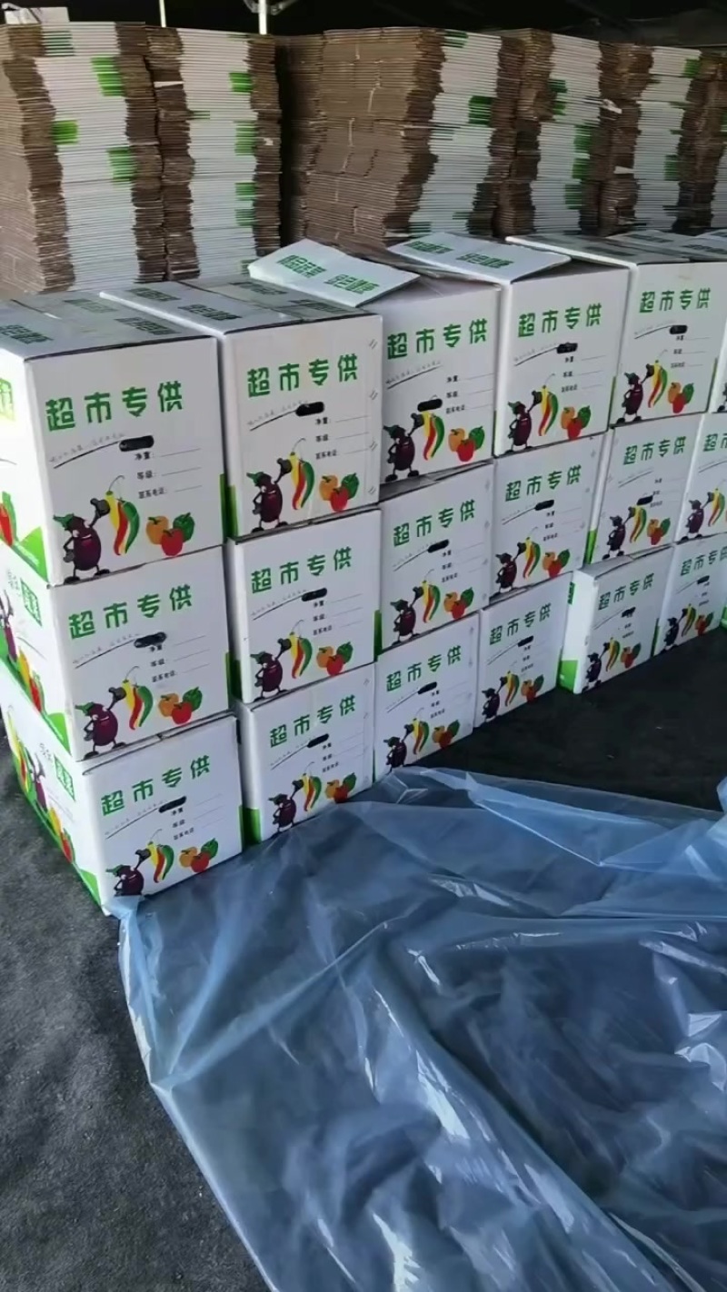 紫茄子