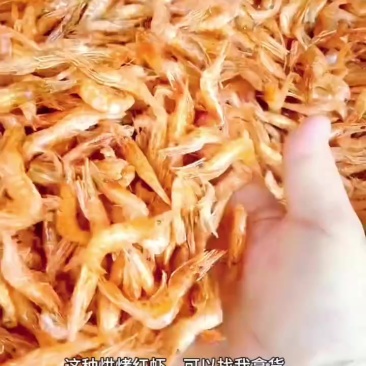 烘烤红虾，质量保证非常好，需要的老板联系我曾姐小鱼