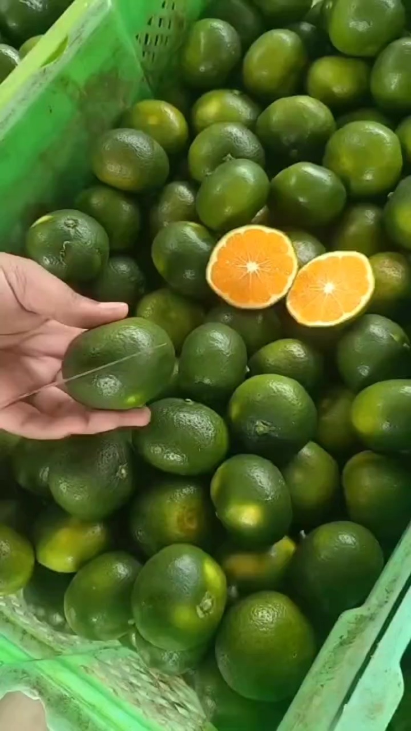 蜜橘电商货