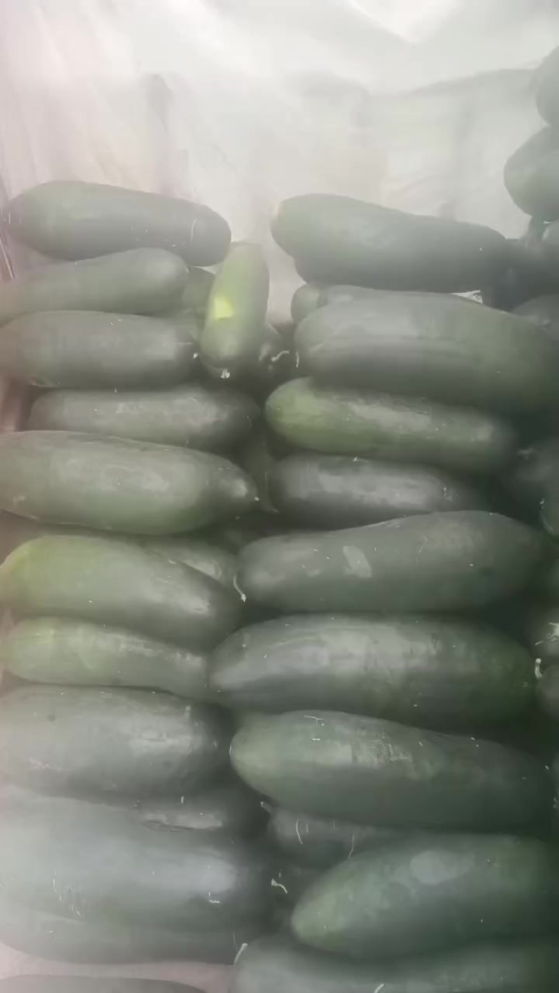 诚信代办