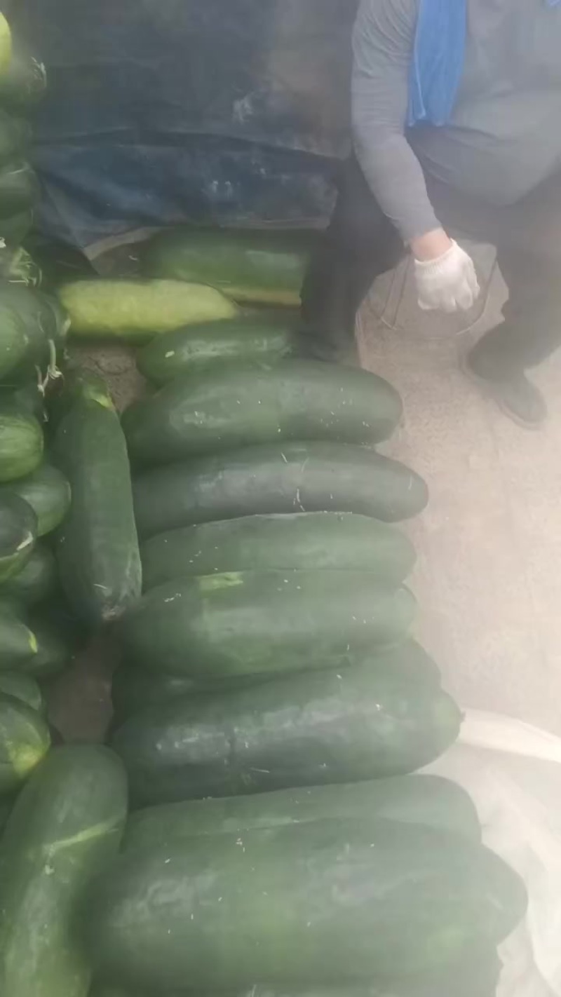 诚信代办
