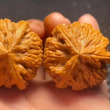 文玩核桃